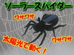 ブラックソーラースパイダー　太陽光で動くクモのおもちゃ　送料350円